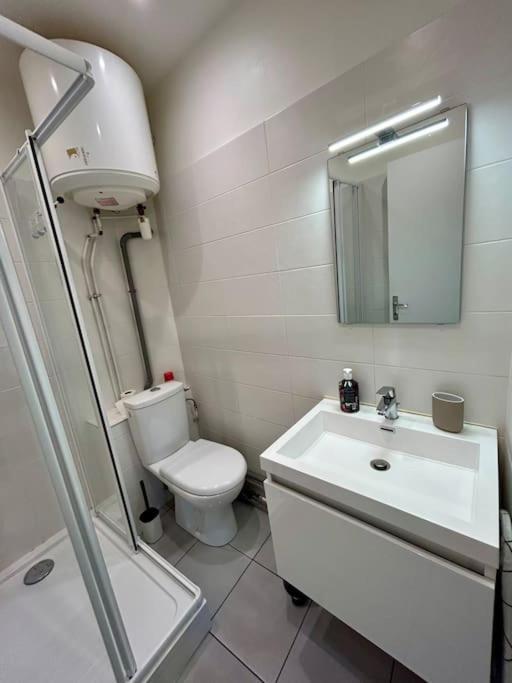 Apartament Le Douillet, Proche Gare Et Metro Tuluza Zewnętrze zdjęcie
