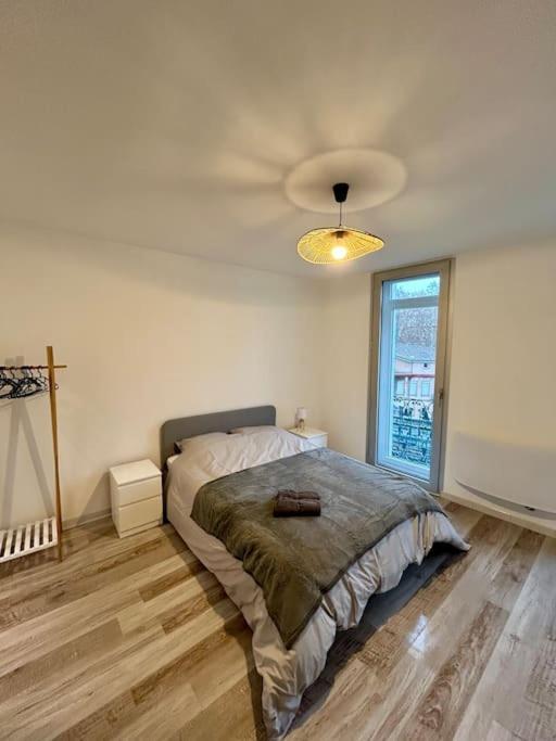 Apartament Le Douillet, Proche Gare Et Metro Tuluza Zewnętrze zdjęcie
