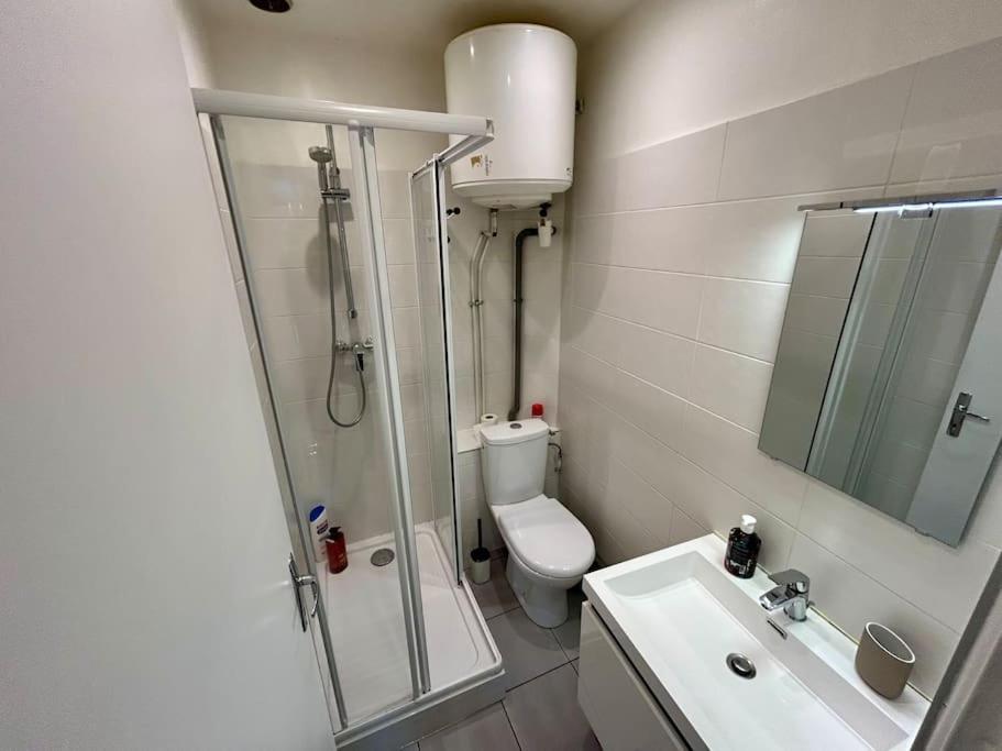 Apartament Le Douillet, Proche Gare Et Metro Tuluza Zewnętrze zdjęcie