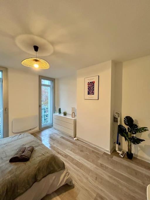Apartament Le Douillet, Proche Gare Et Metro Tuluza Zewnętrze zdjęcie